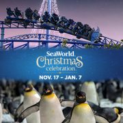 Win your tickets to SeaWorld Christmas Celebration