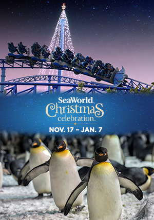 Win your tickets to SeaWorld Christmas Celebration
