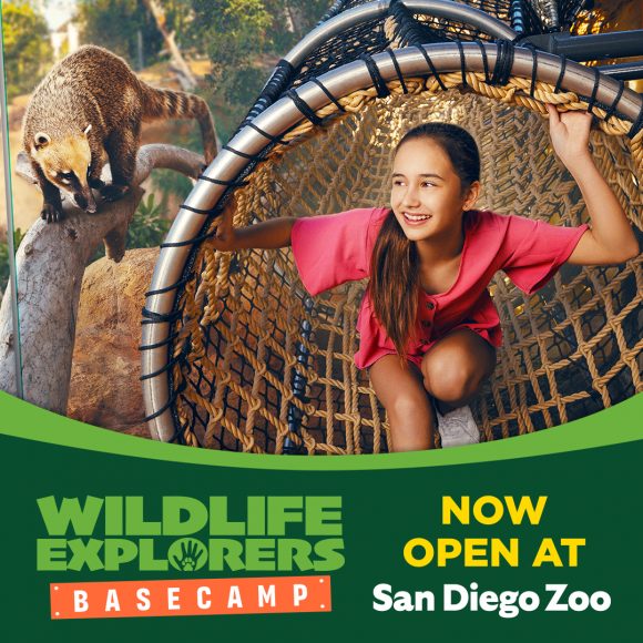 Win Tickets To Wildlife Explorers Basecamp CLOSED