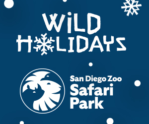 Win tickets to the San Diego Zoo Safari Park Wild Holiday (this contest is now closed)