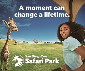 Win tickets to the San Diego Zoo Safari Park