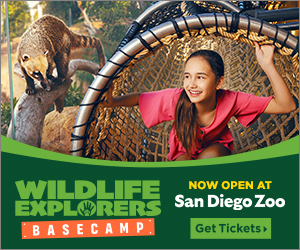 Win tickets to the San Diego Zoo